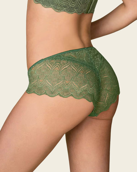 Half-And-Half Sheer Lace Cheeky Hipster Panty